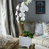 Bamboo Cachepot- Ivory