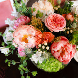 Tara Dining Chair in Little Magnolia Punch